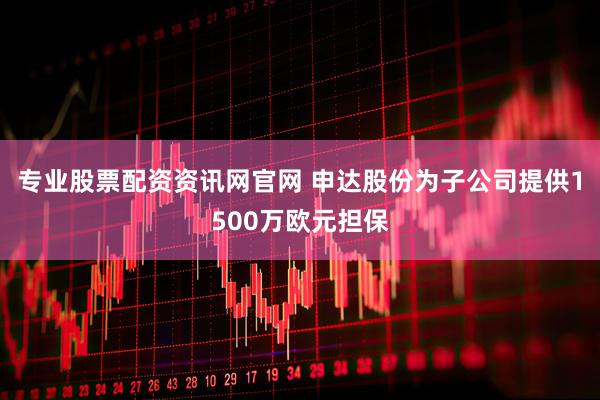 专业股票配资资讯网官网 申达股份为子公司提供1500万欧元担保