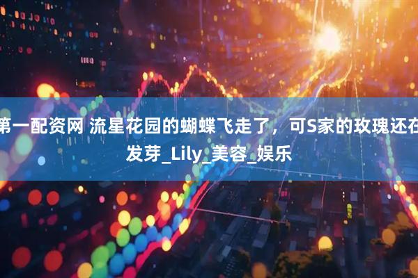 第一配资网 流星花园的蝴蝶飞走了，可S家的玫瑰还在发芽_Lily_美容_娱乐