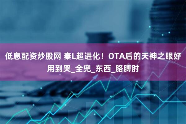 低息配资炒股网 秦L超进化！OTA后的天神之眼好用到哭_全兜_东西_胳膊肘