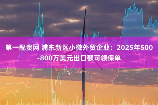 第一配资网 浦东新区小微外贸企业：2025年500-800万美元出口额可领保单